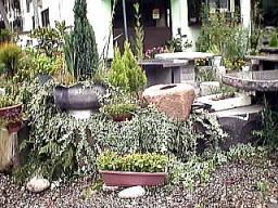 gardentable04.jpg